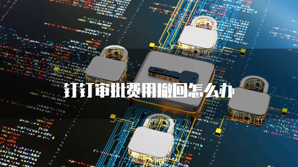 钉钉审批费用撤回怎么办