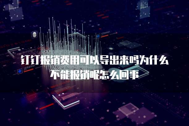 钉钉报销费用可以导出来吗为什么不能报销呢怎么回事