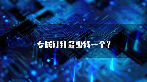 专属钉钉多少钱一个?