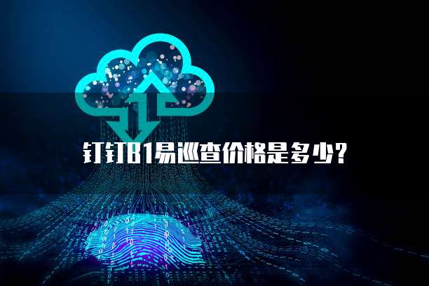 钉钉B1易巡查价格是多少?
