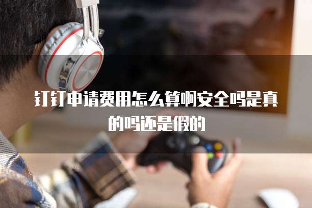 钉钉申请费用怎么算啊安全吗是真的吗还是假的