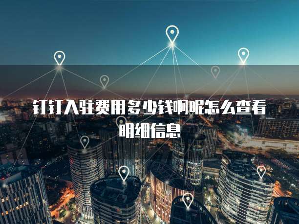 钉钉入驻费用多少钱啊呢怎么查看明细信息
