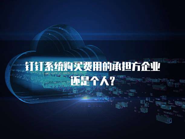 钉钉系统购买费用的承担方企业还是个人?