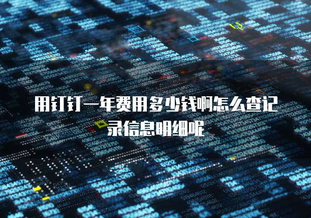 用钉钉一年费用多少钱啊怎么查记录信息明细呢