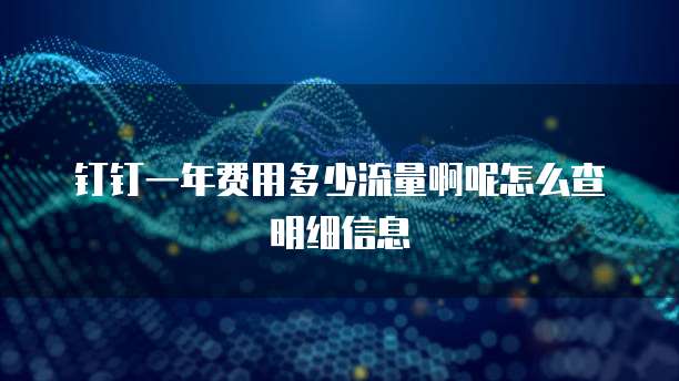 钉钉一年费用多少流量啊呢怎么查明细信息