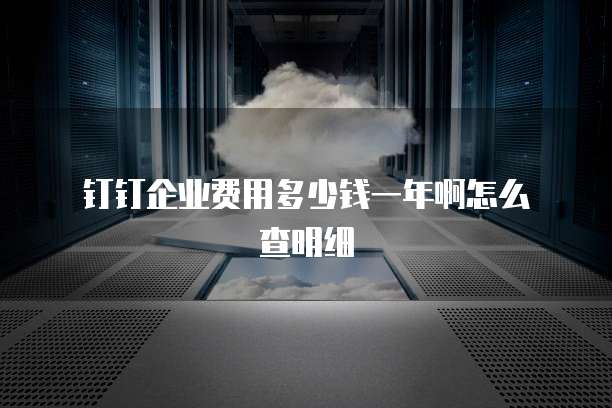 钉钉企业费用多少钱一年啊怎么查明细
