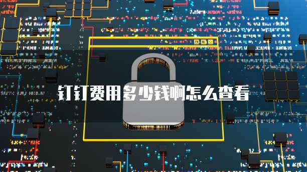 钉钉费用多少钱啊怎么查看