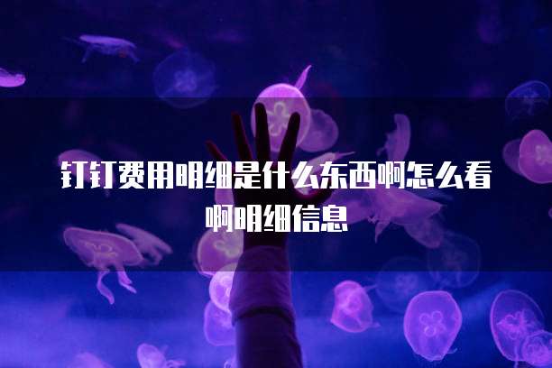 钉钉费用明细是什么东西啊怎么看啊明细信息