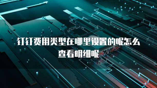 钉钉费用类型在哪里设置的呢怎么查看明细呢