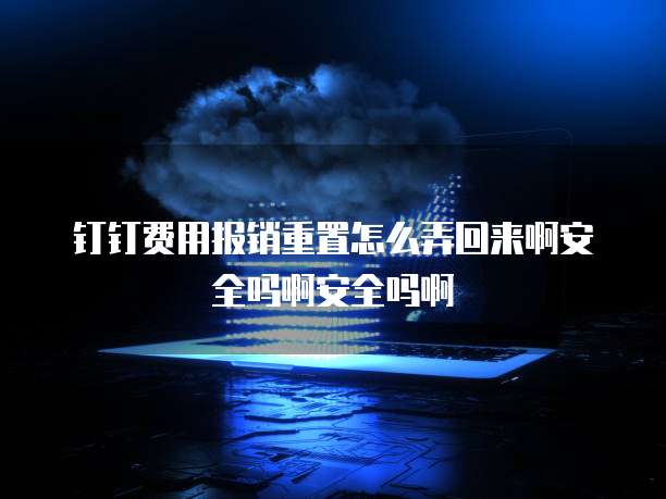 钉钉费用报销重置怎么弄回来啊安全吗啊安全吗啊