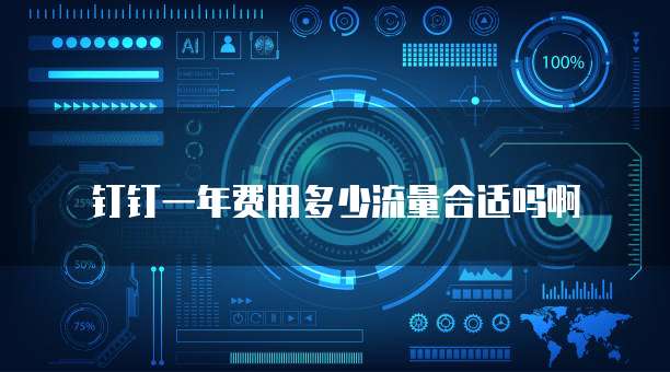 钉钉一年费用多少流量合适吗啊