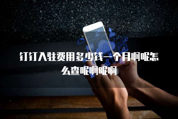 钉钉入驻费用多少钱一个月啊呢怎么查呢啊呢啊