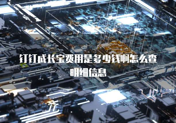 钉钉成长宝费用是多少钱啊怎么查明细信息