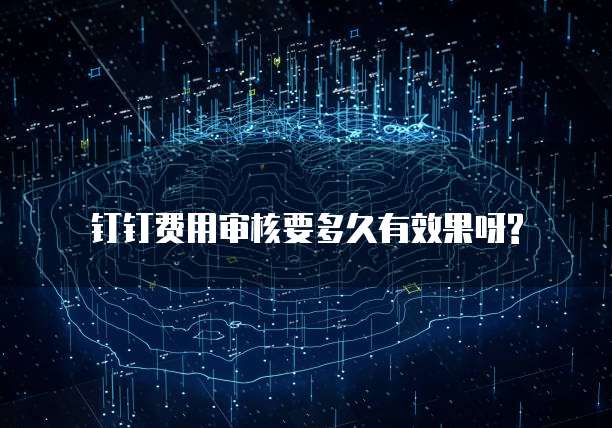 钉钉费用审核要多久有效果呀?