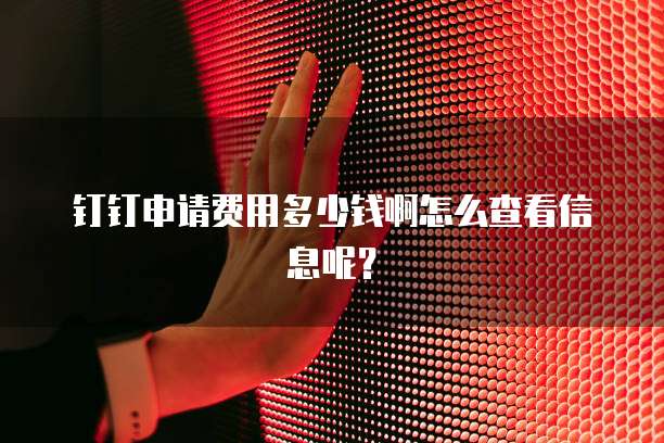 钉钉申请费用多少钱啊怎么查看信息呢?