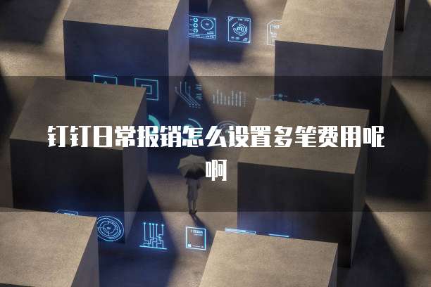 钉钉日常报销怎么设置多笔费用呢啊