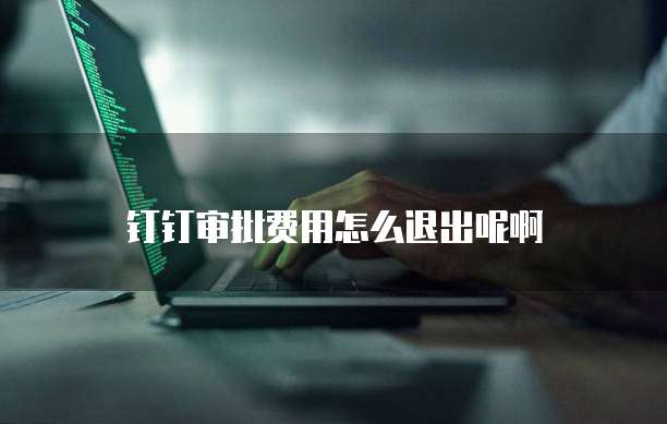 钉钉审批费用怎么退出呢啊