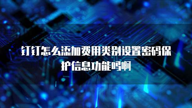 钉钉怎么添加费用类别设置密码保护信息功能吗啊