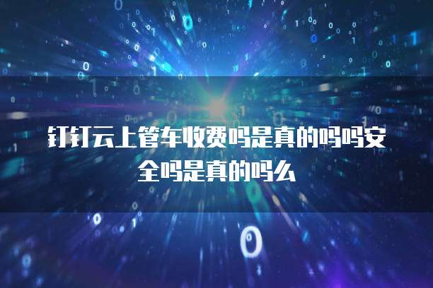 钉钉云上管车收费吗是真的吗吗安全吗是真的吗么
