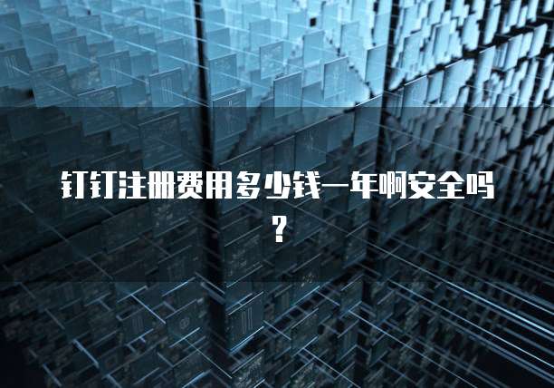 钉钉注册费用多少钱一年啊安全吗？