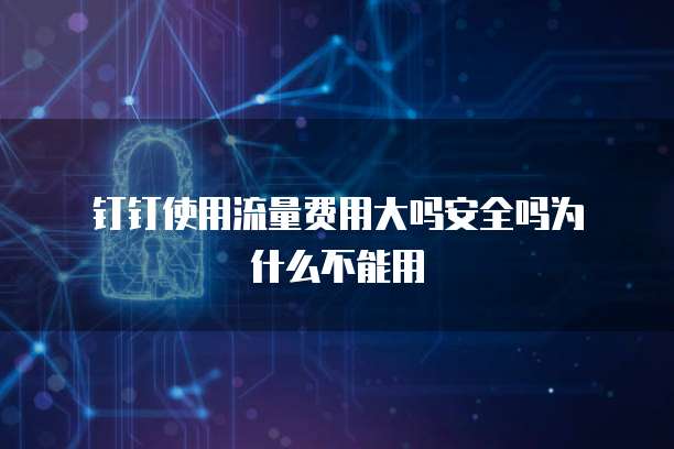 钉钉使用流量费用大吗安全吗为什么不能用