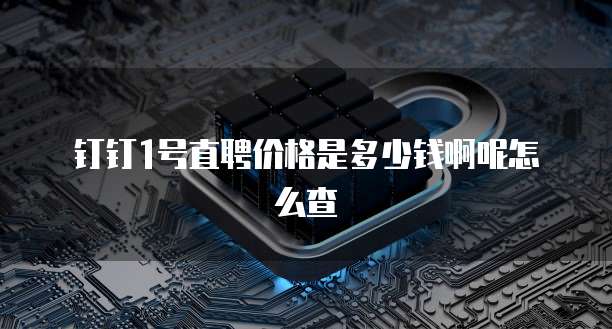 钉钉1号直聘价格是多少钱啊呢怎么查