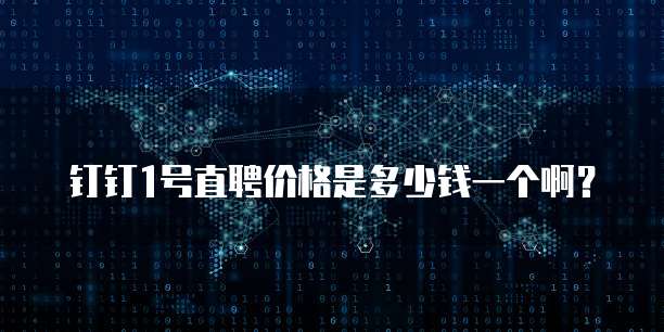 钉钉1号直聘价格是多少钱一个啊?