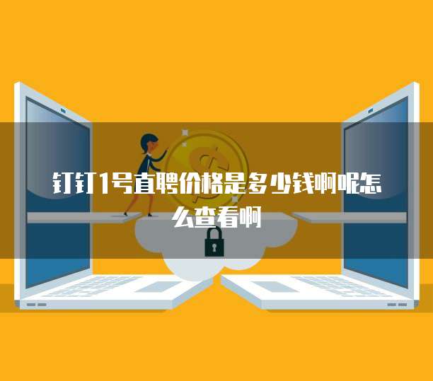 钉钉1号直聘价格是多少钱啊呢怎么查看啊