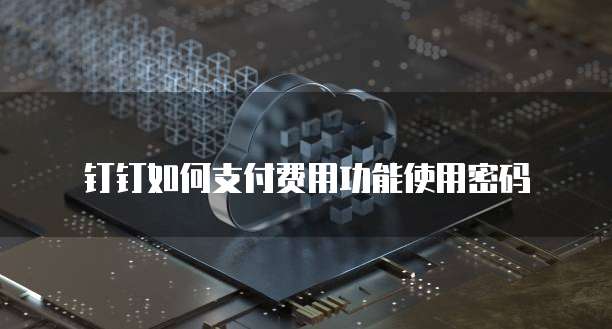 钉钉如何支付费用功能使用密码