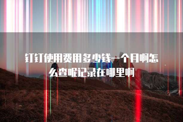 钉钉使用费用多少钱一个月啊怎么查呢记录在哪里啊