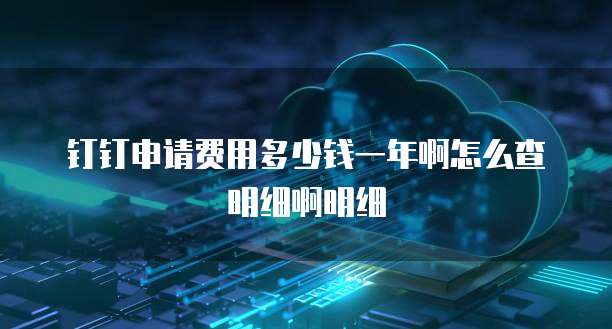 钉钉申请费用多少钱一年啊怎么查明细啊明细