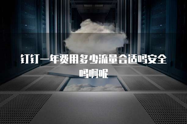 钉钉一年费用多少流量合适吗安全吗啊呢