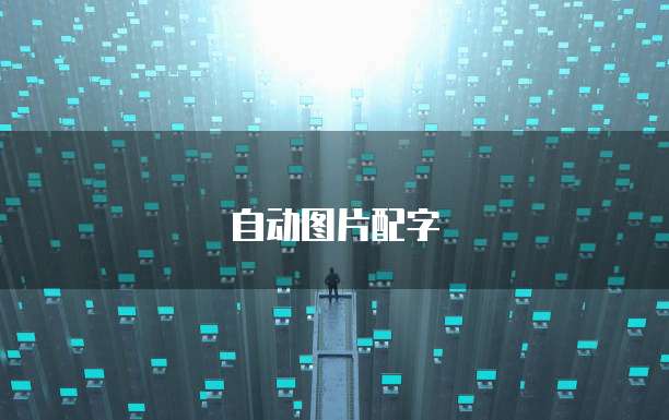 钉钉小云圈跟单宝区别