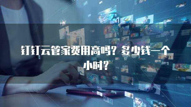 钉钉云管家费用高吗?多少钱一个小时?