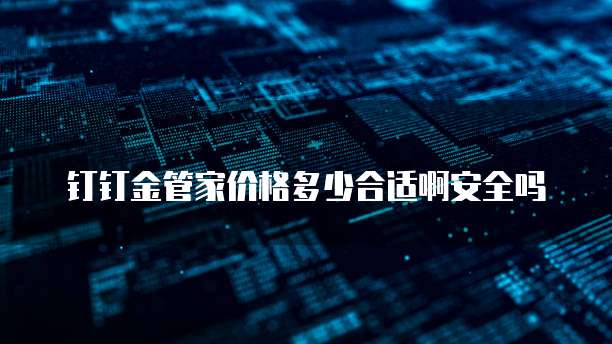 钉钉金管家价格多少合适啊安全吗