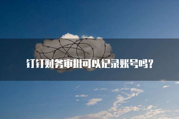 钉钉财务审批可以记录账号吗?