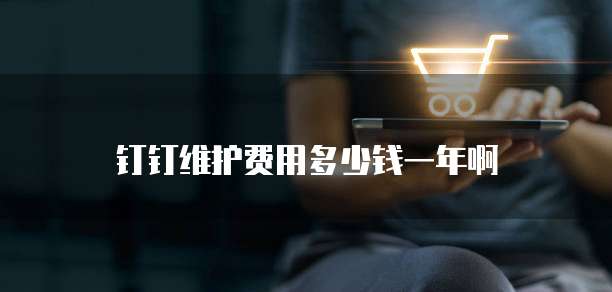 钉钉维护费用多少钱一年啊