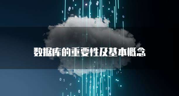 钉钉售后服务管理系统在哪里看到订单号信息