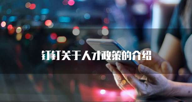 钉钉关于人才政策的介绍