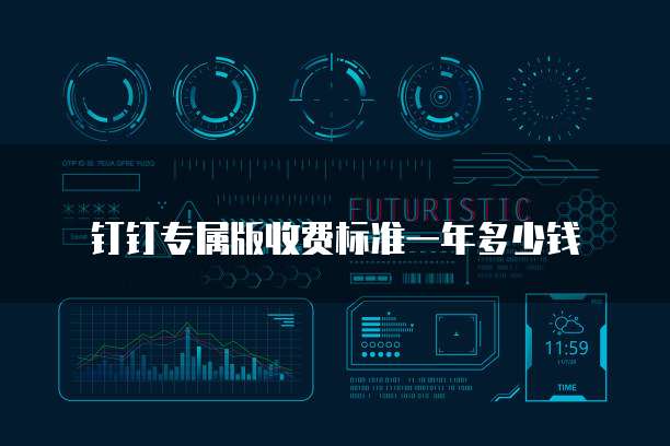 钉钉专属版收费标准一年多少钱
