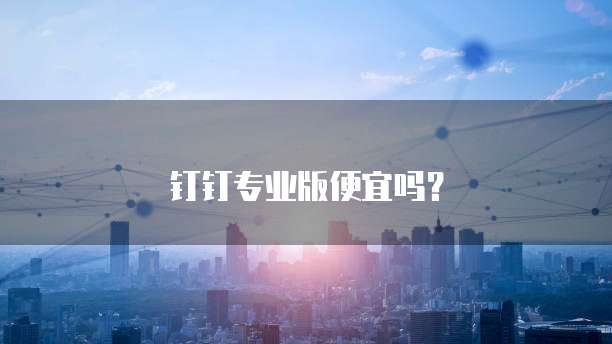 钉钉专业版便宜吗?