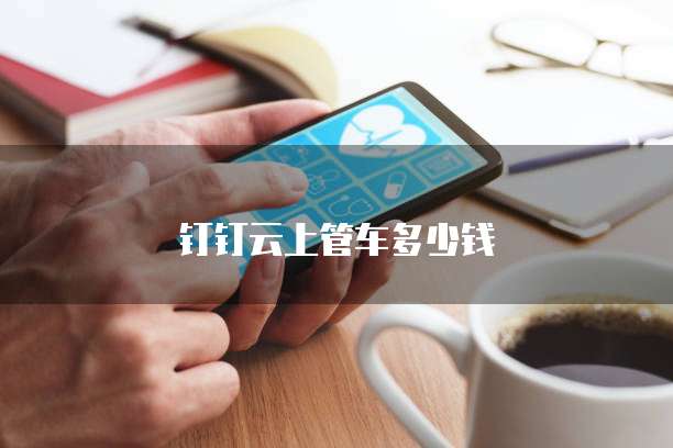 钉钉云上管车多少钱