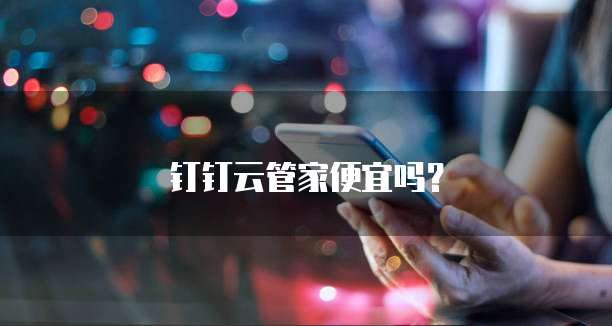 钉钉云管家便宜吗?