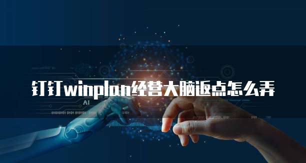 钉钉winplan经营大脑返点怎么弄
