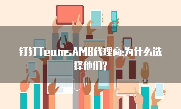 钉钉TeamsAMB代理商:为什么选择他们?