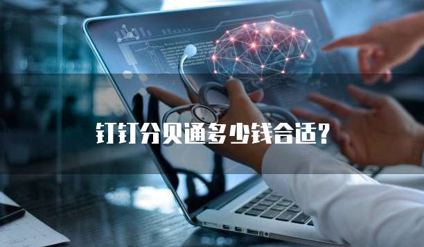 钉钉分贝通多少钱合适?