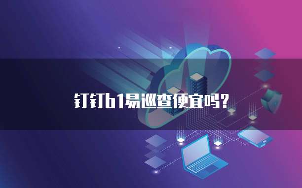 钉钉b1易巡查便宜吗?