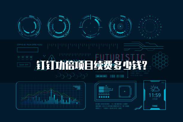 钉钉功倍项目续费多少钱?