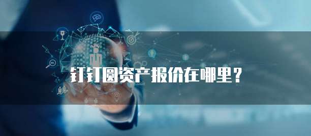 钉钉圆资产报价在哪里？