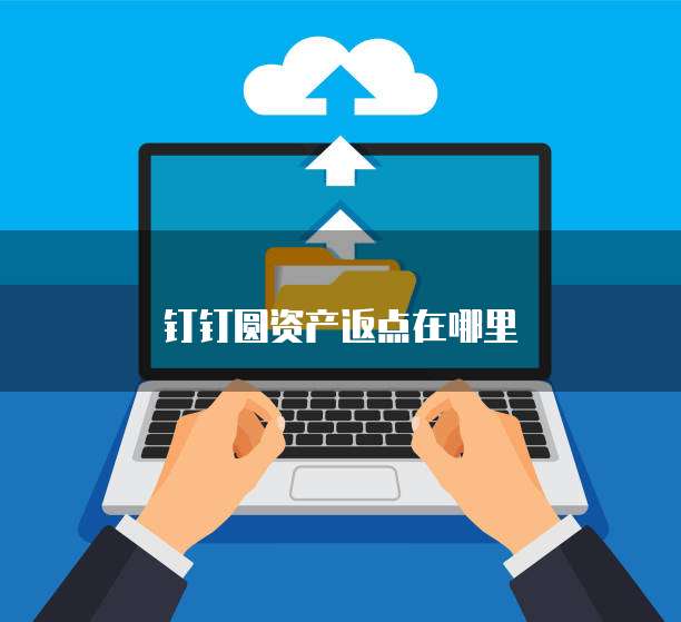 钉钉圆资产返点在哪里
